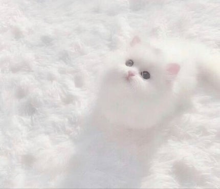 âð€ãããªð