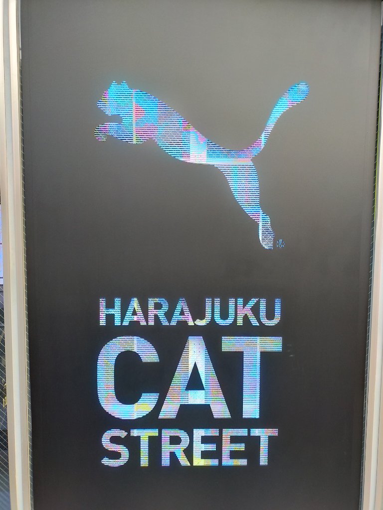 hogonekochanフォロバ100