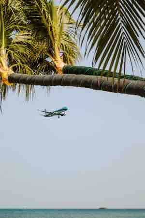 でかりかちゃん