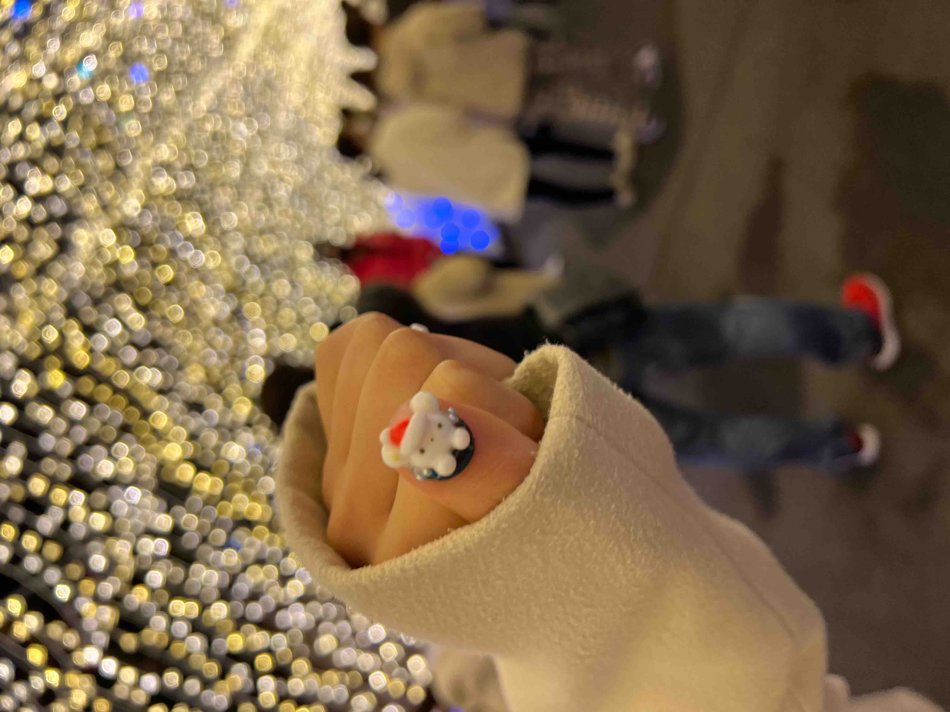 林檎計画責任者