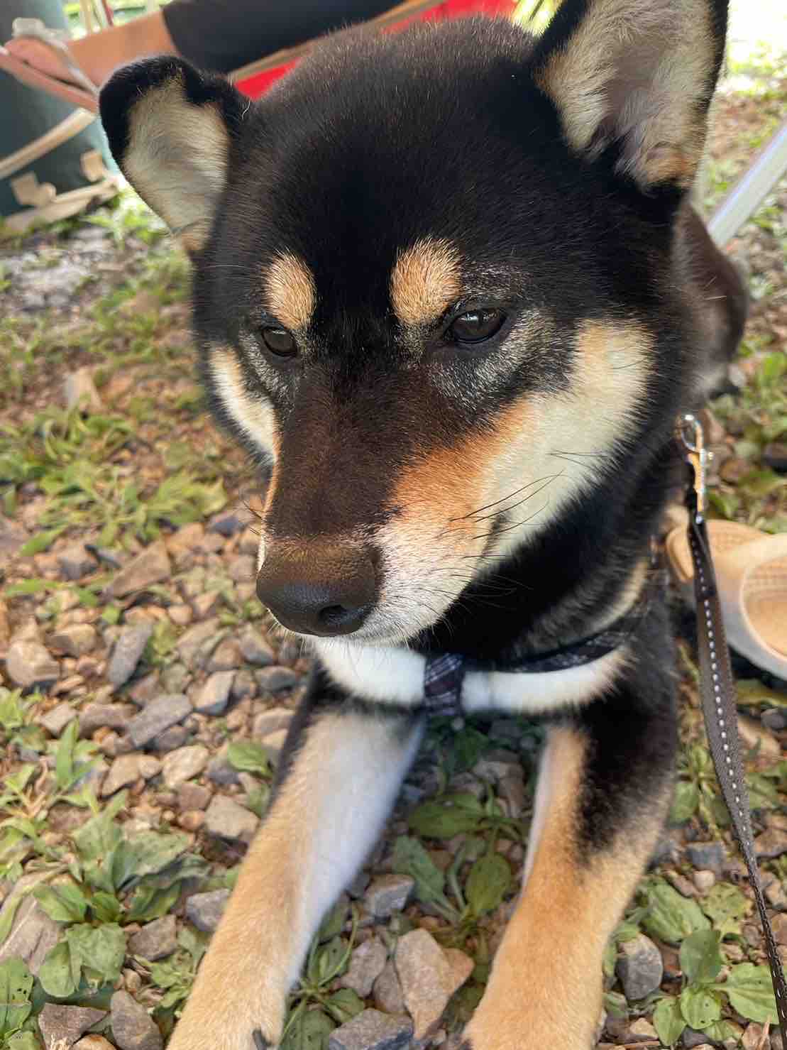 ❤︎아오이❤︎