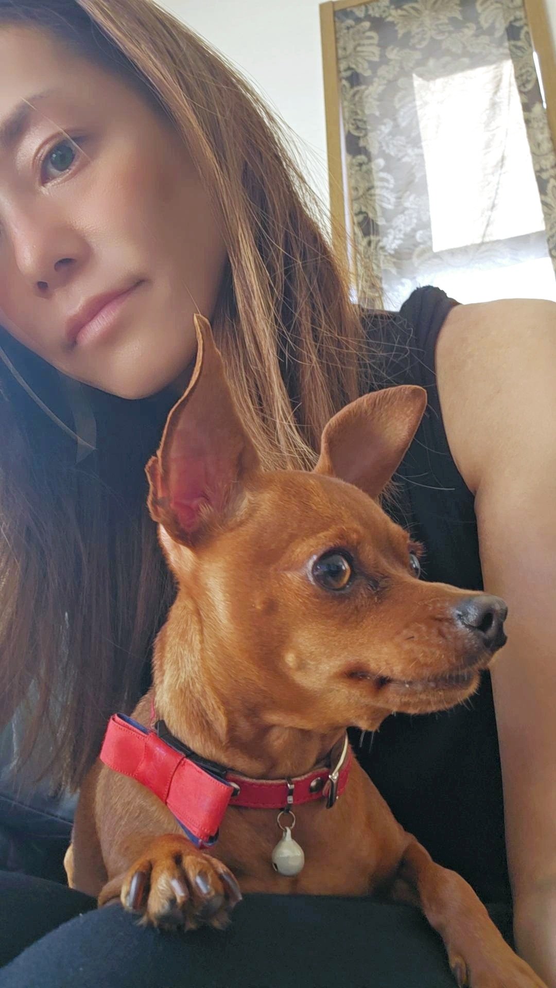 にゃんぴ🐱フォロバ100