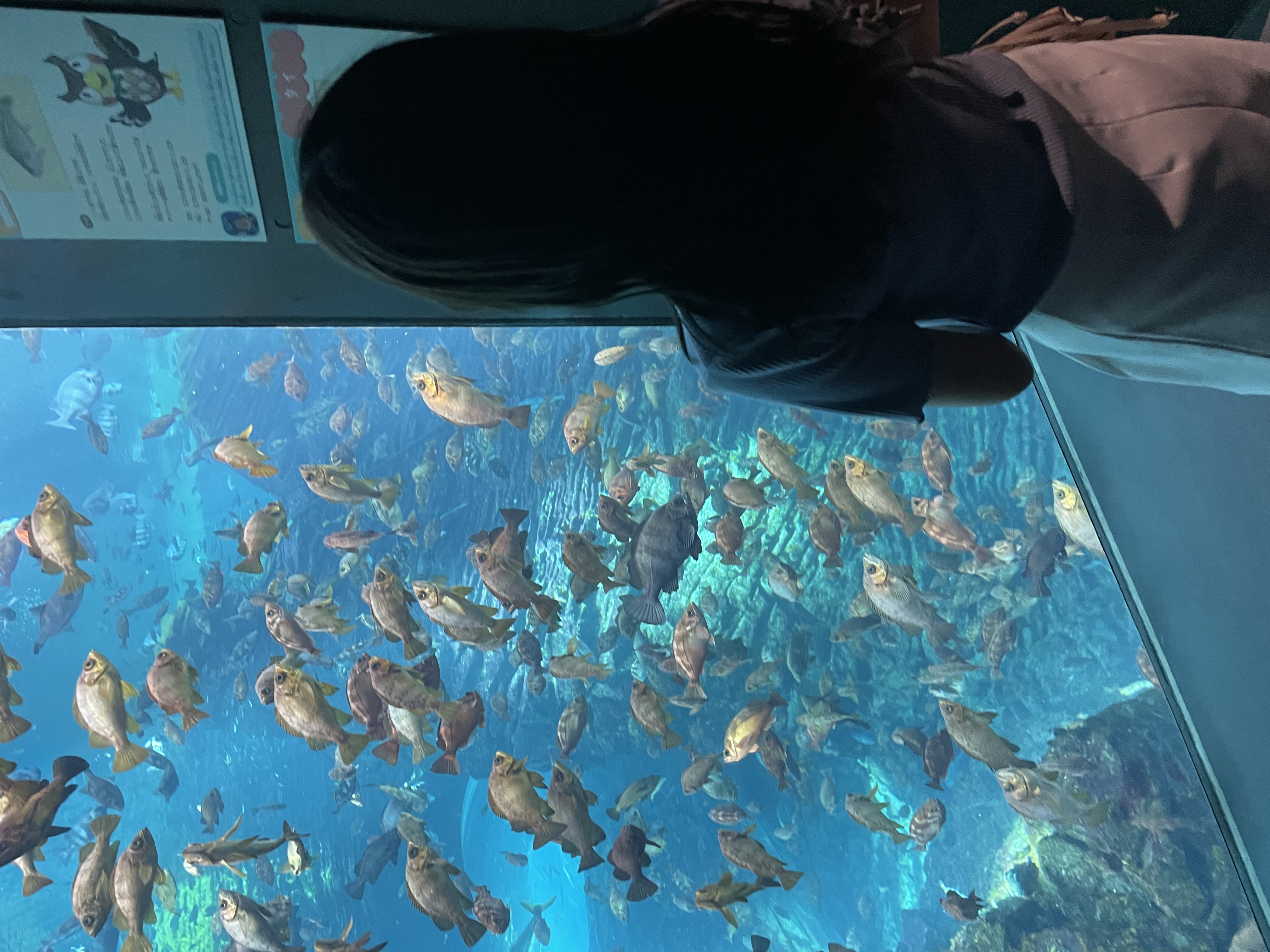 ⚫︎♡ゆきちょ♡⚫︎/フォロバ100