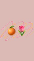 おれんじぴんく🍊🌷