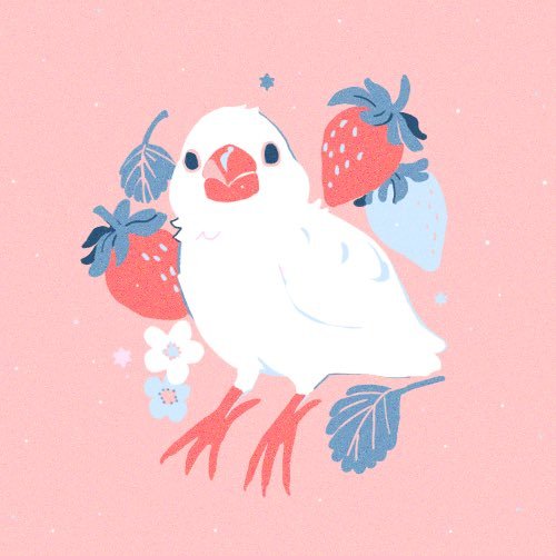 𝕄𝕚𝕥𝕤𝕦𝕜𝕚