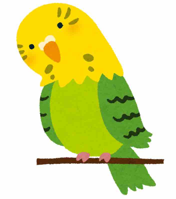 焼き鳥フリクション🦜