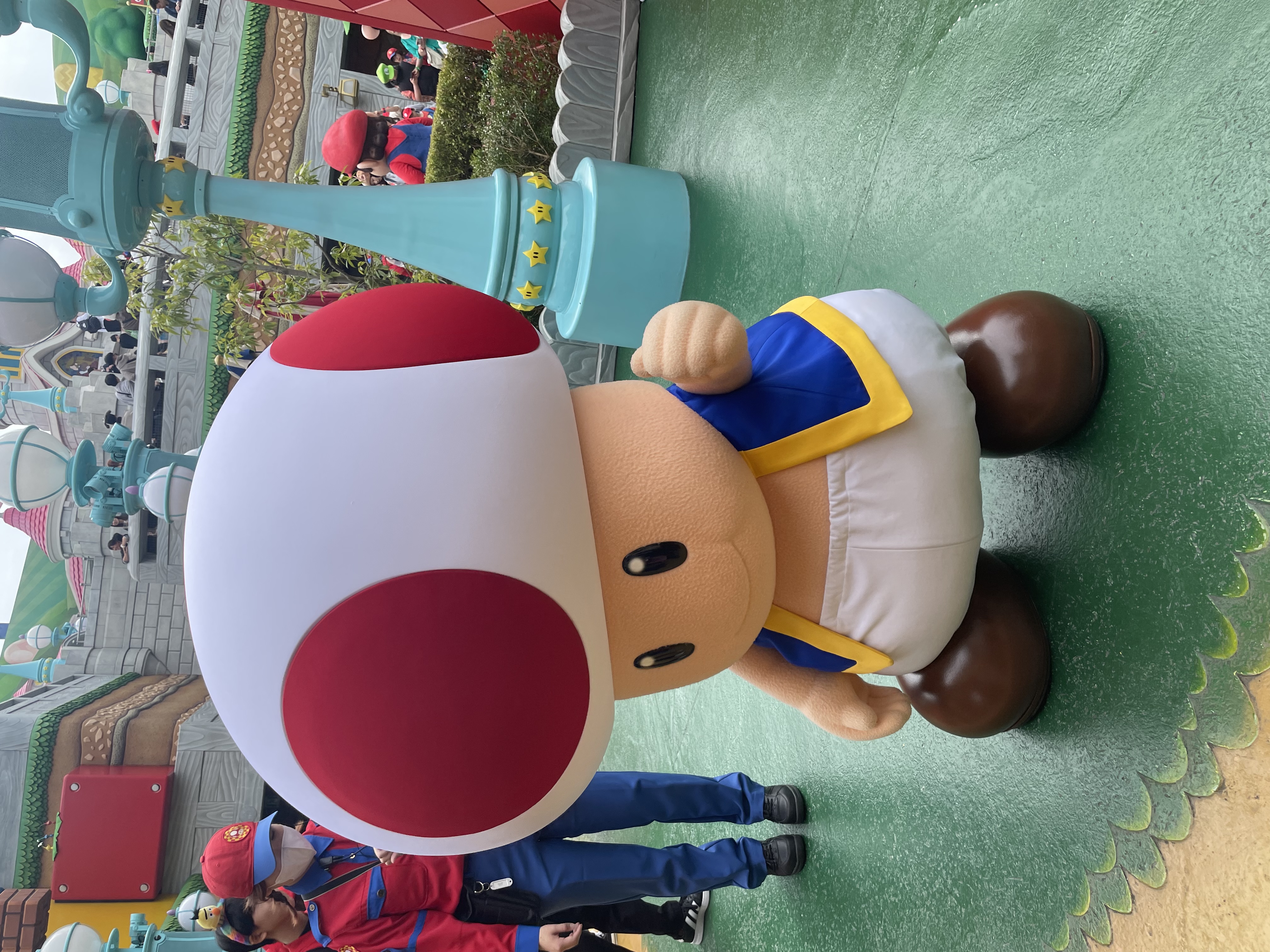 すず🌼フォロバ100