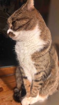 のぞみ