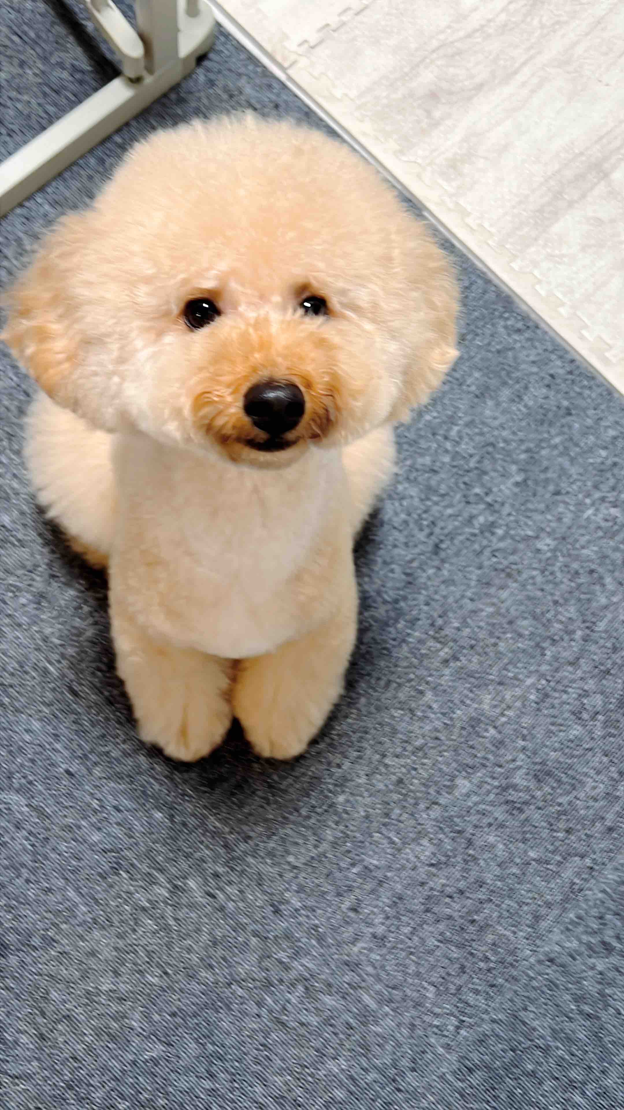 肌作りオタクの日記