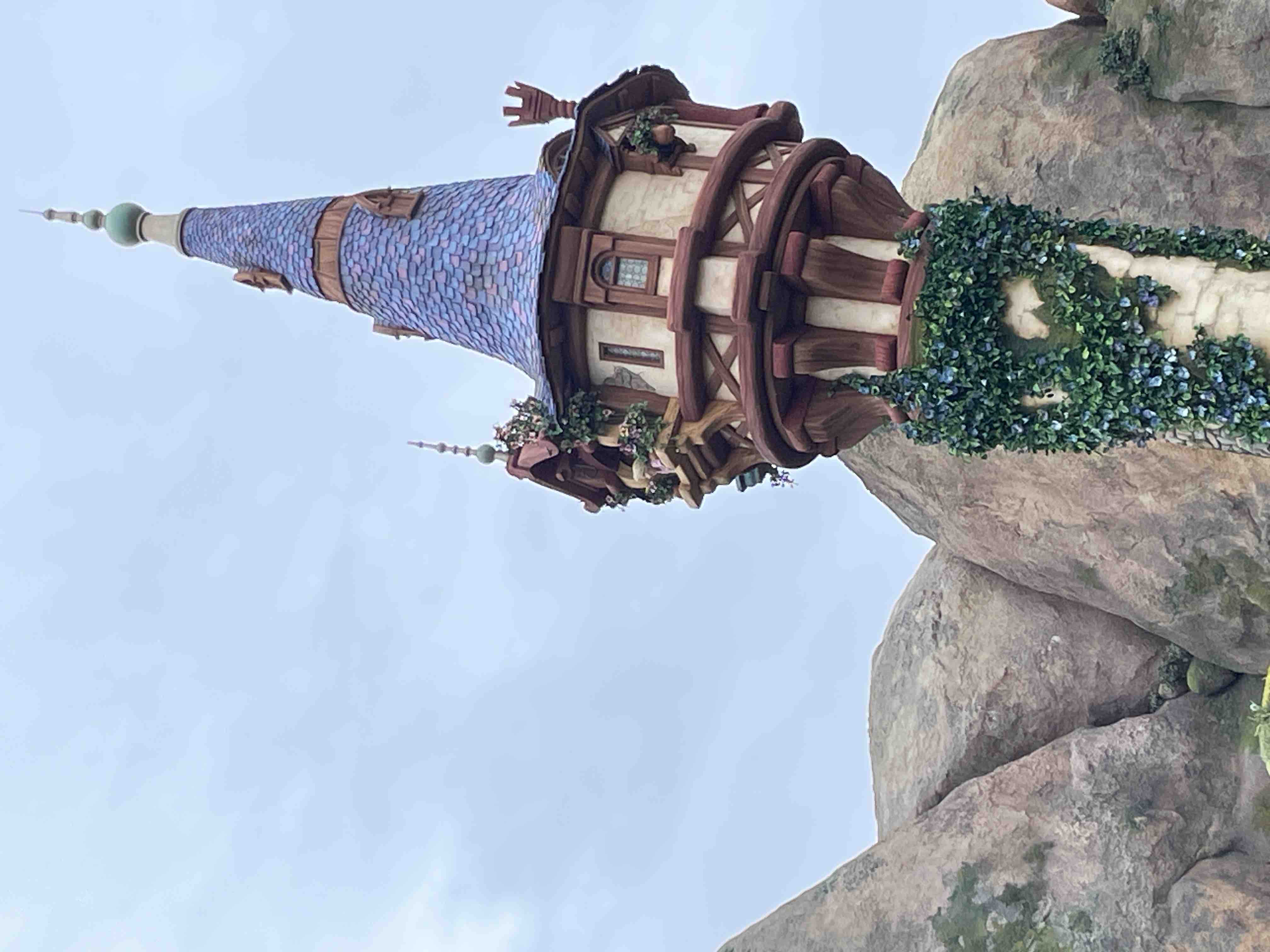 大きめクッキー