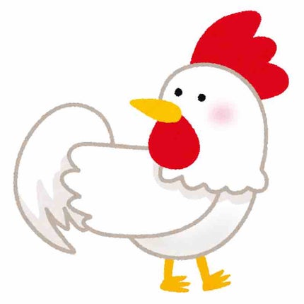 チキンナゲット大学生🦆