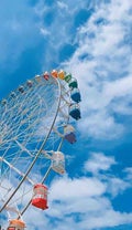 ひじき