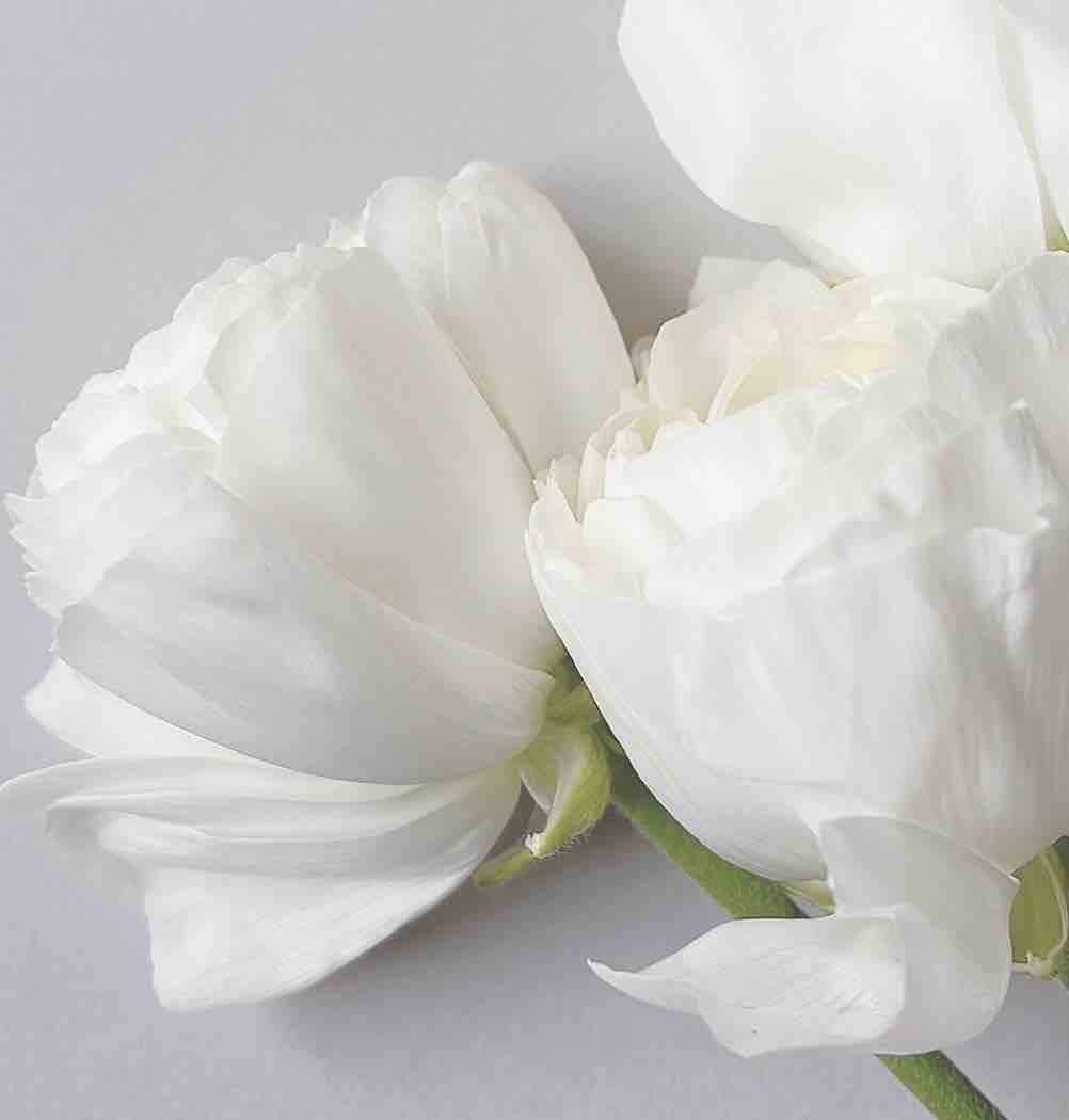 aki@フォロバ100♡