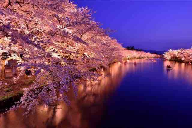 見習いアーティスト