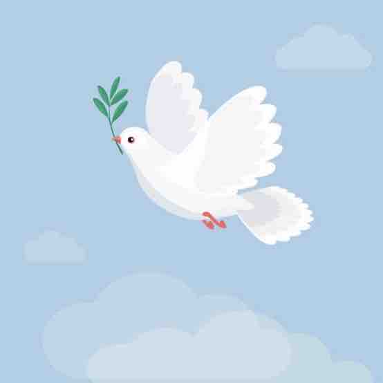 ひなつ@フォロバ