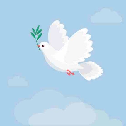 ひなつ@フォロバ