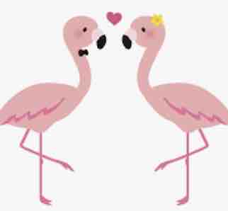 フラットミンゴ