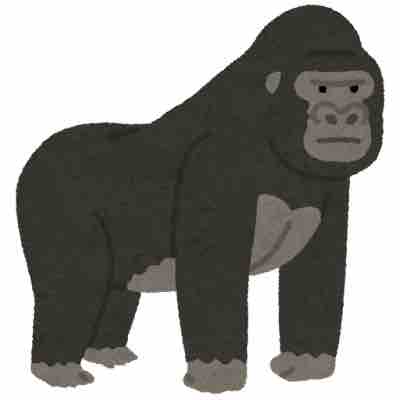 元美容部員ごりら