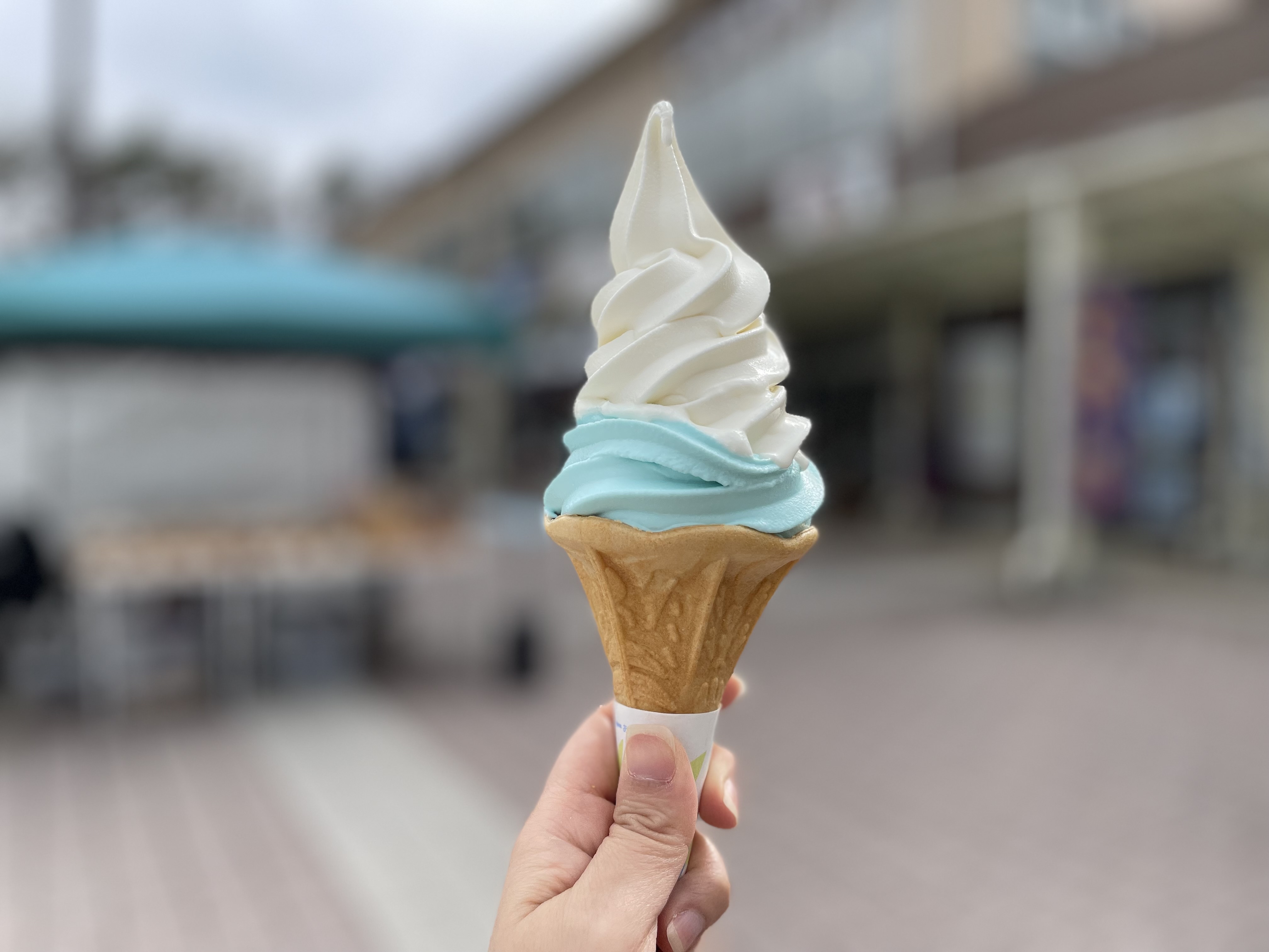 しょる🌻フォロバ100