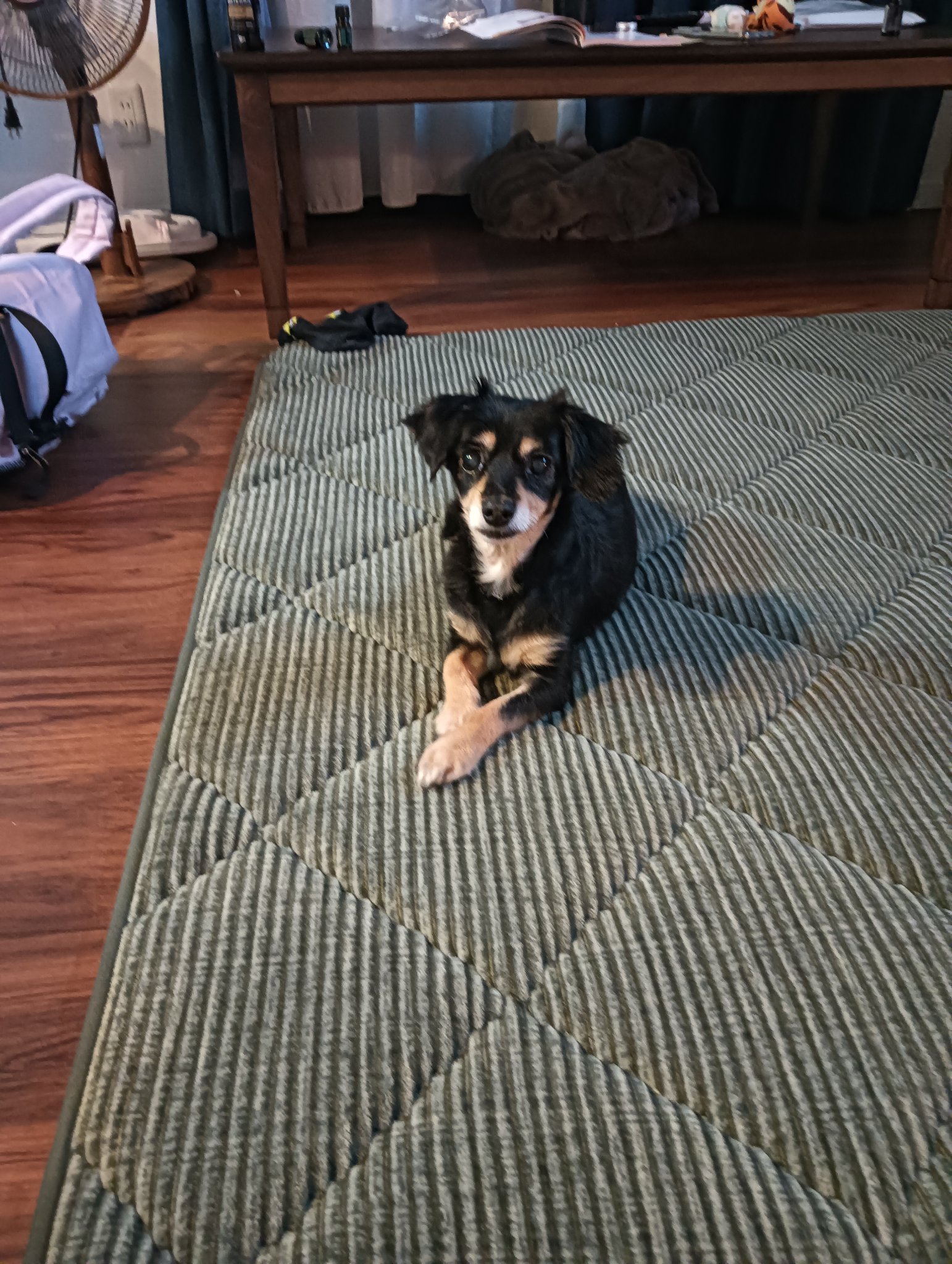 A&O୨୧=・·・=୨୧