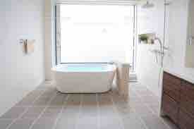 まんまるねこめ