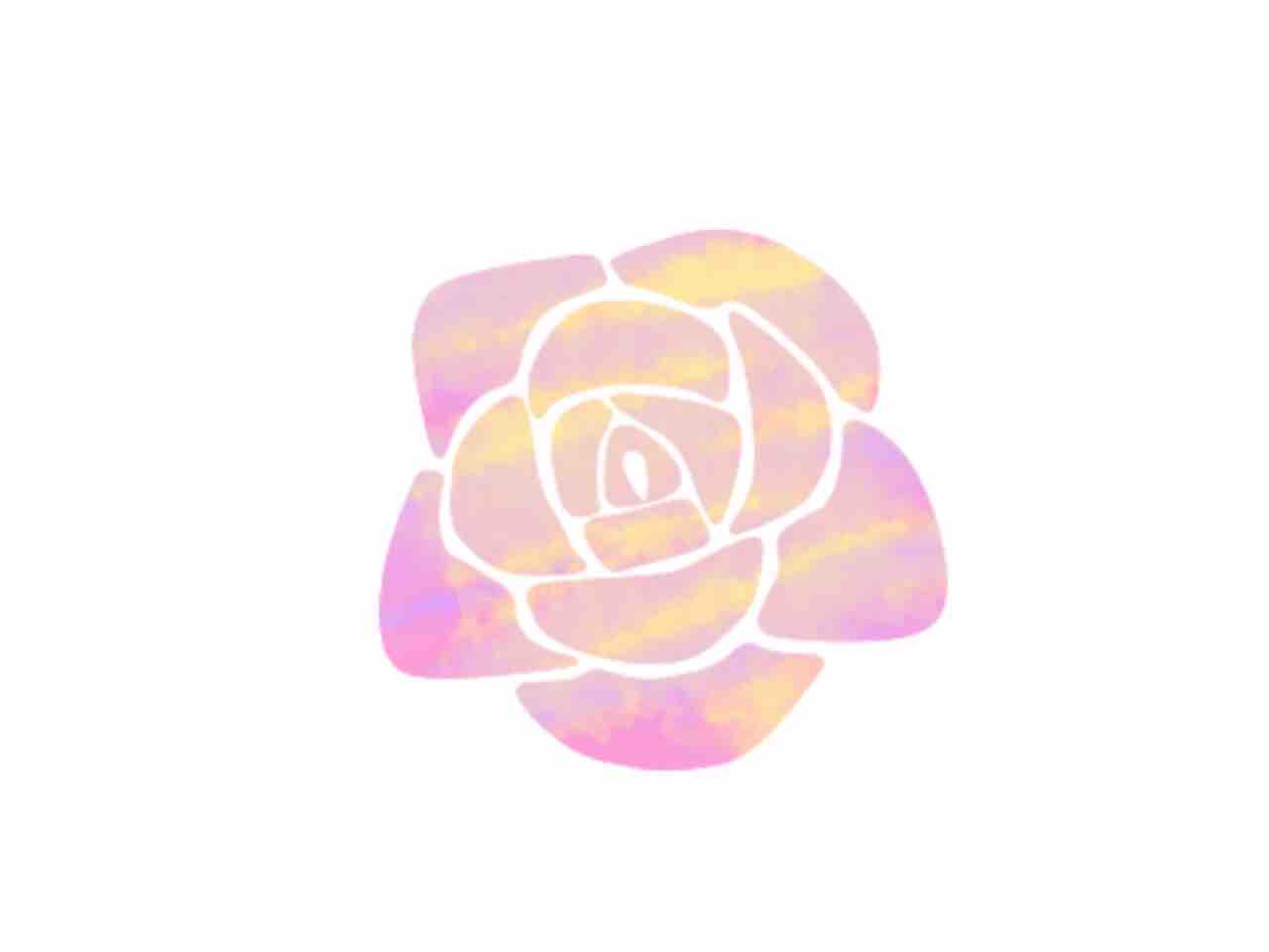 rika / ﾌｫﾛﾊﾞ