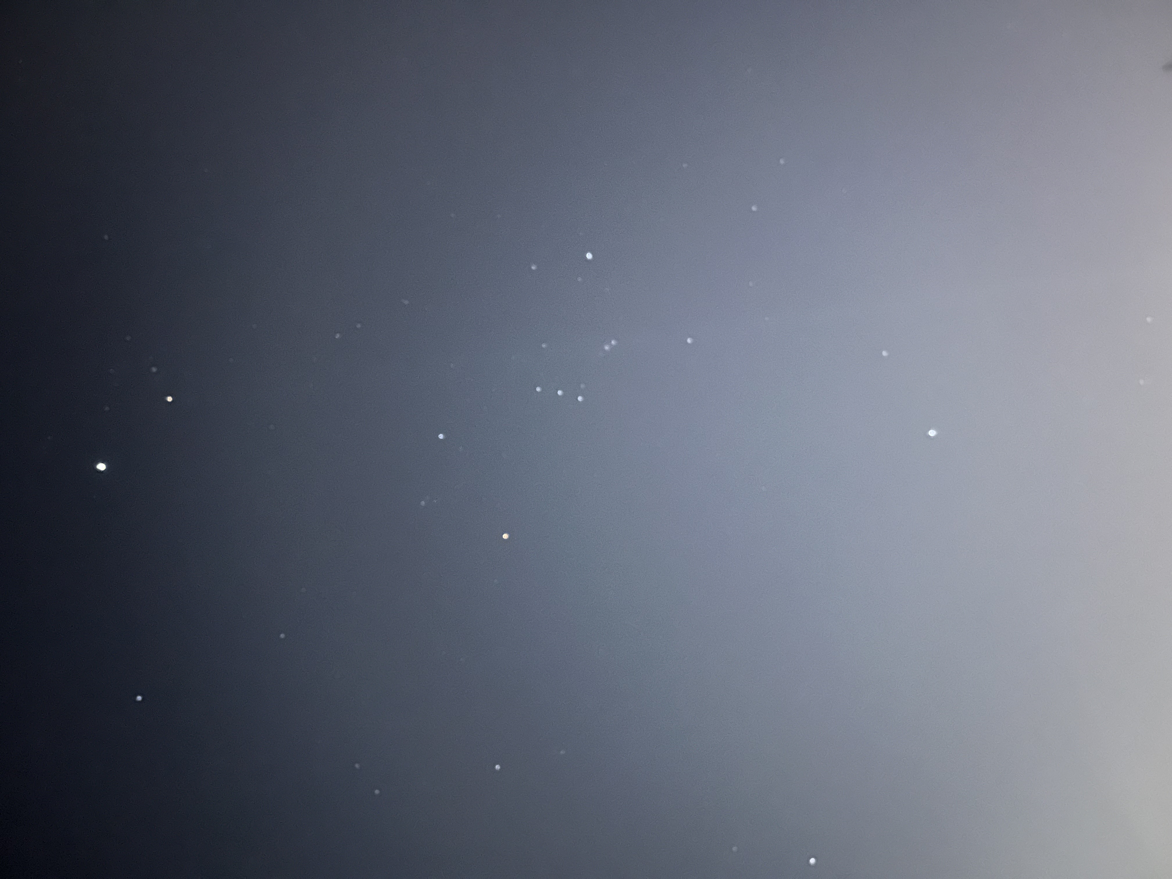 ぱんだ🐼フォロバ100