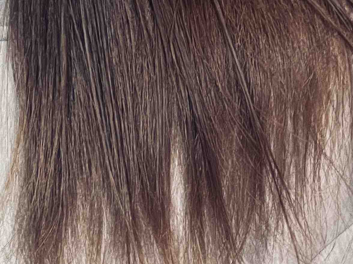 むしぱんけーき