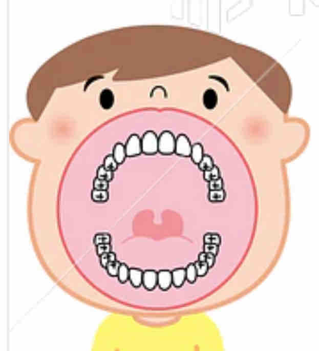 おでこ狭い人間