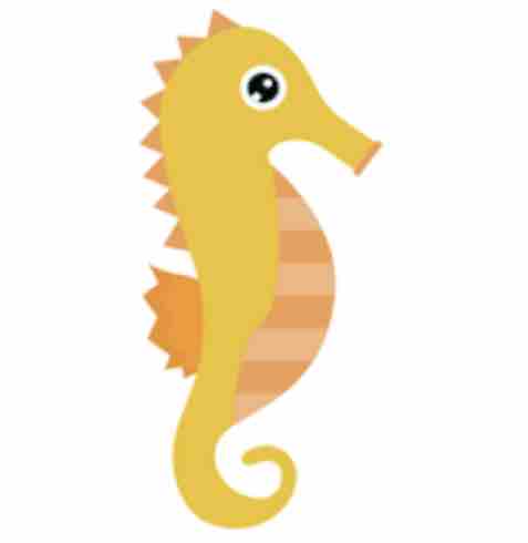 タツノオトシゴ