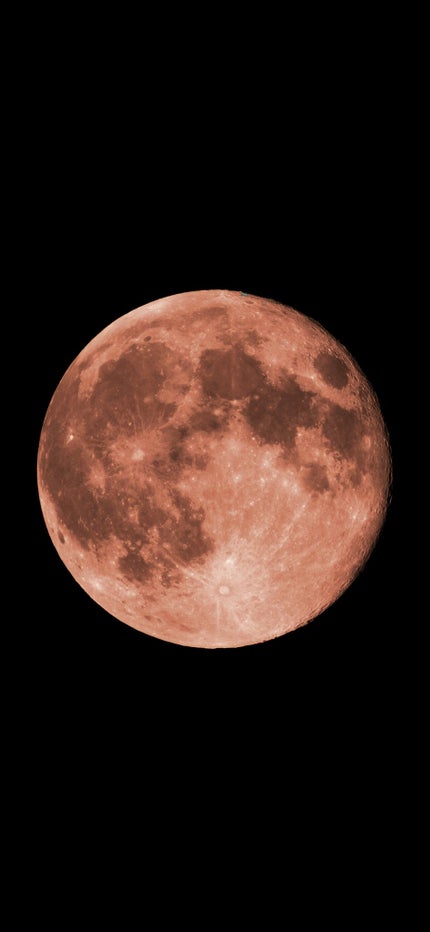 きちづ@ フォロバ100%