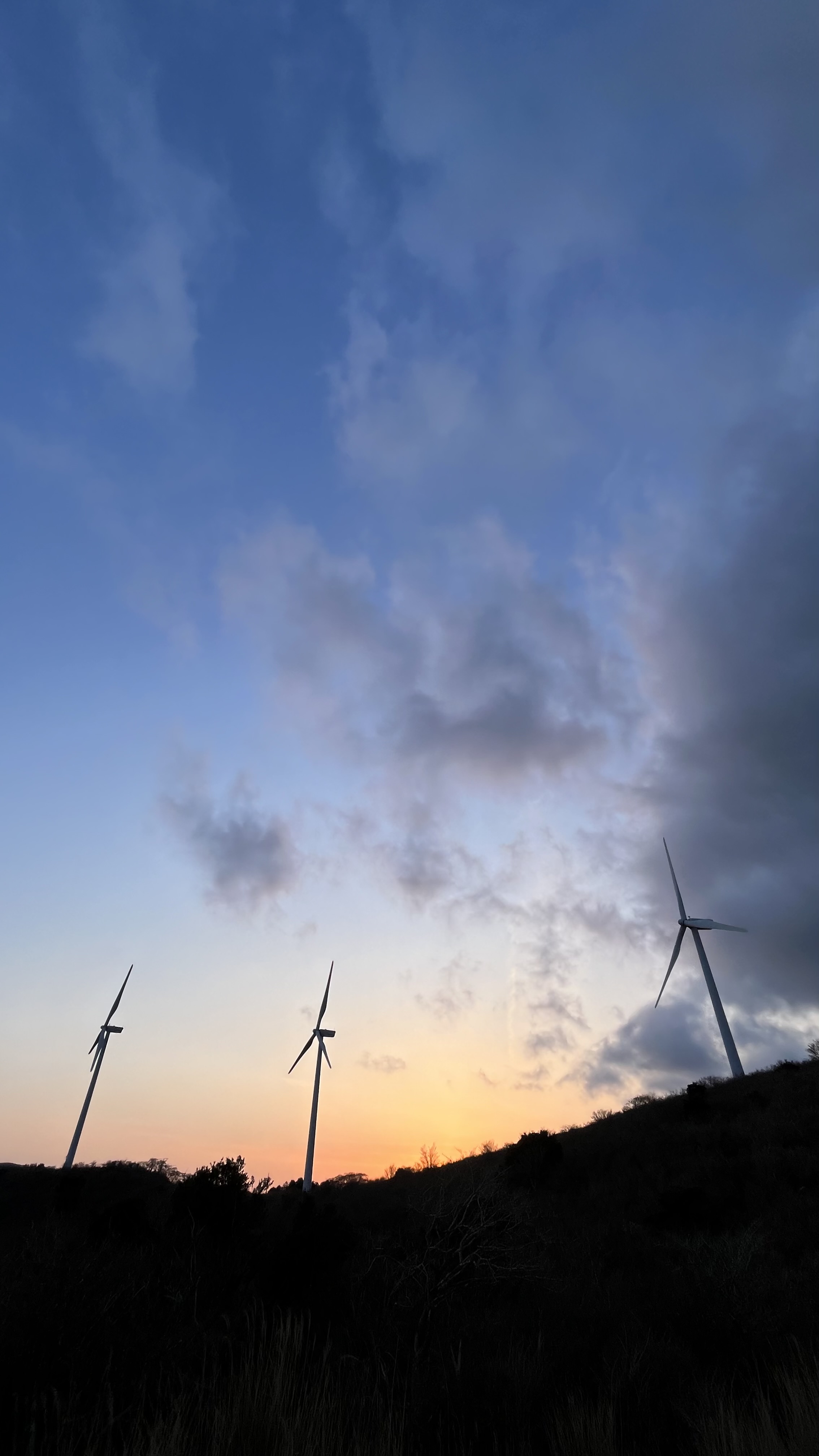 どこかにいる美容部員