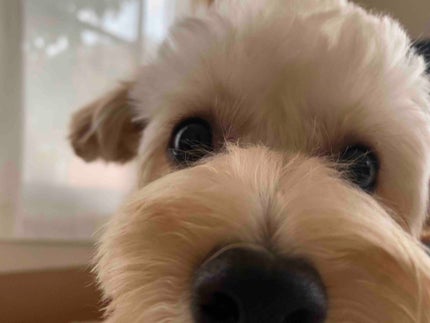 韓国美容クリニック勤務なっぴさん