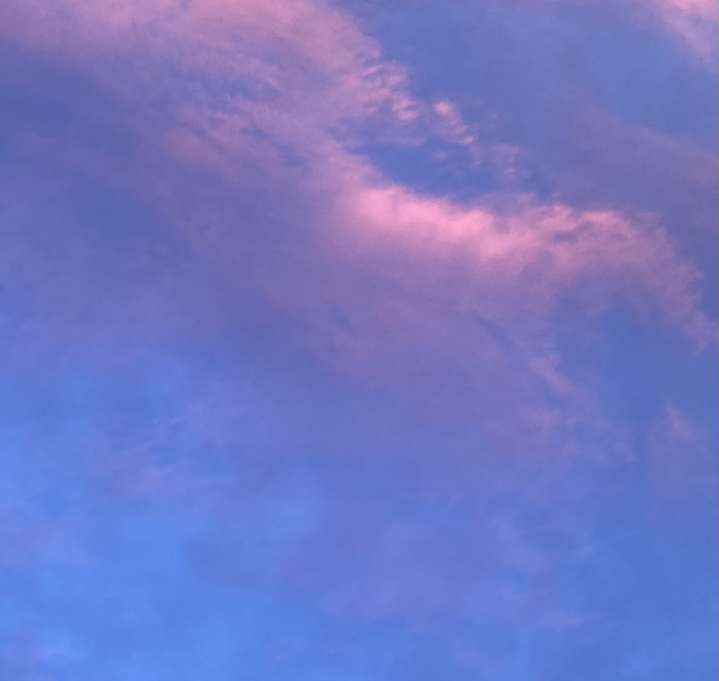 𝒇𝒓𝛼𝒎𝒃𝜊𝒊𝒔𝒆🍓