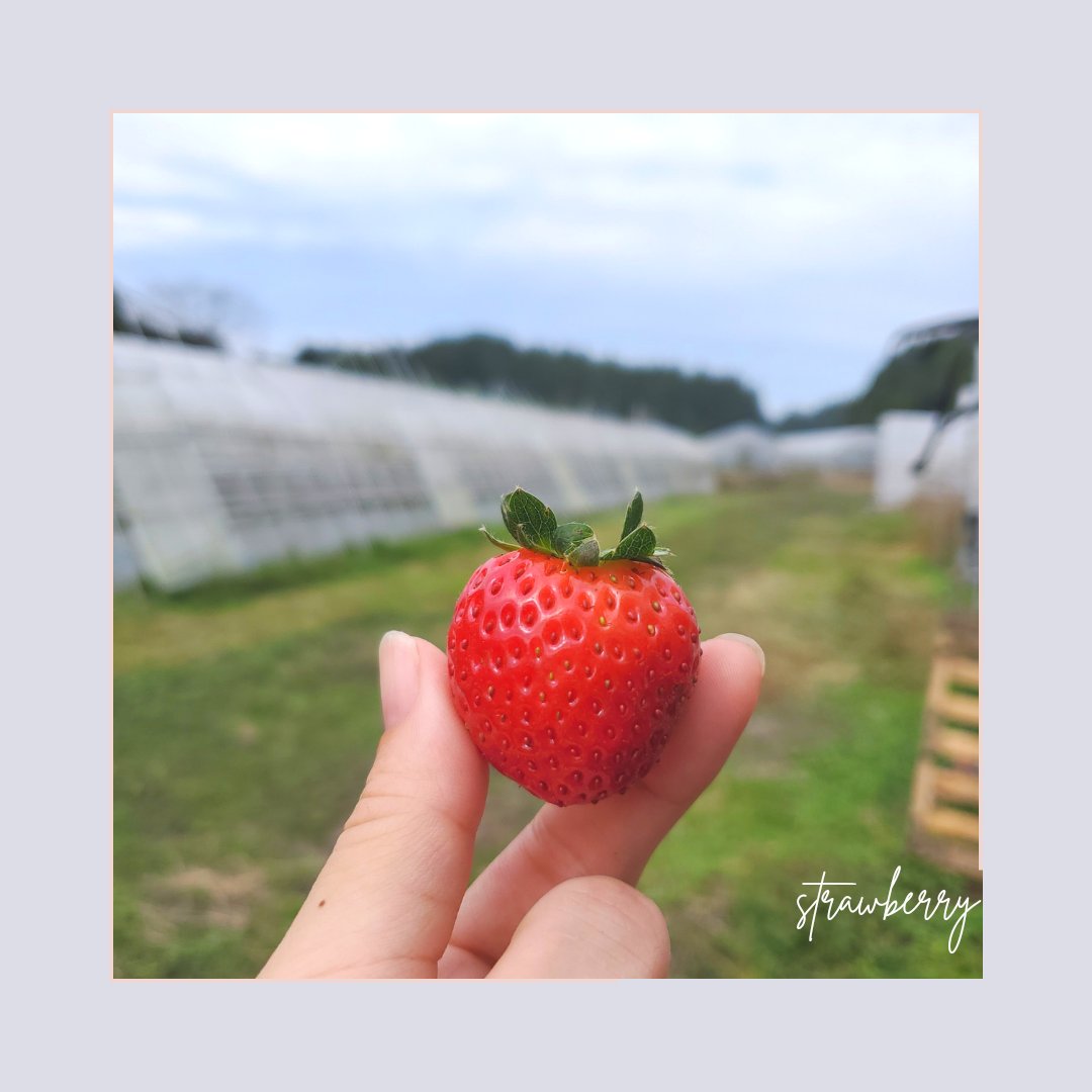 なっち/フォロバ100