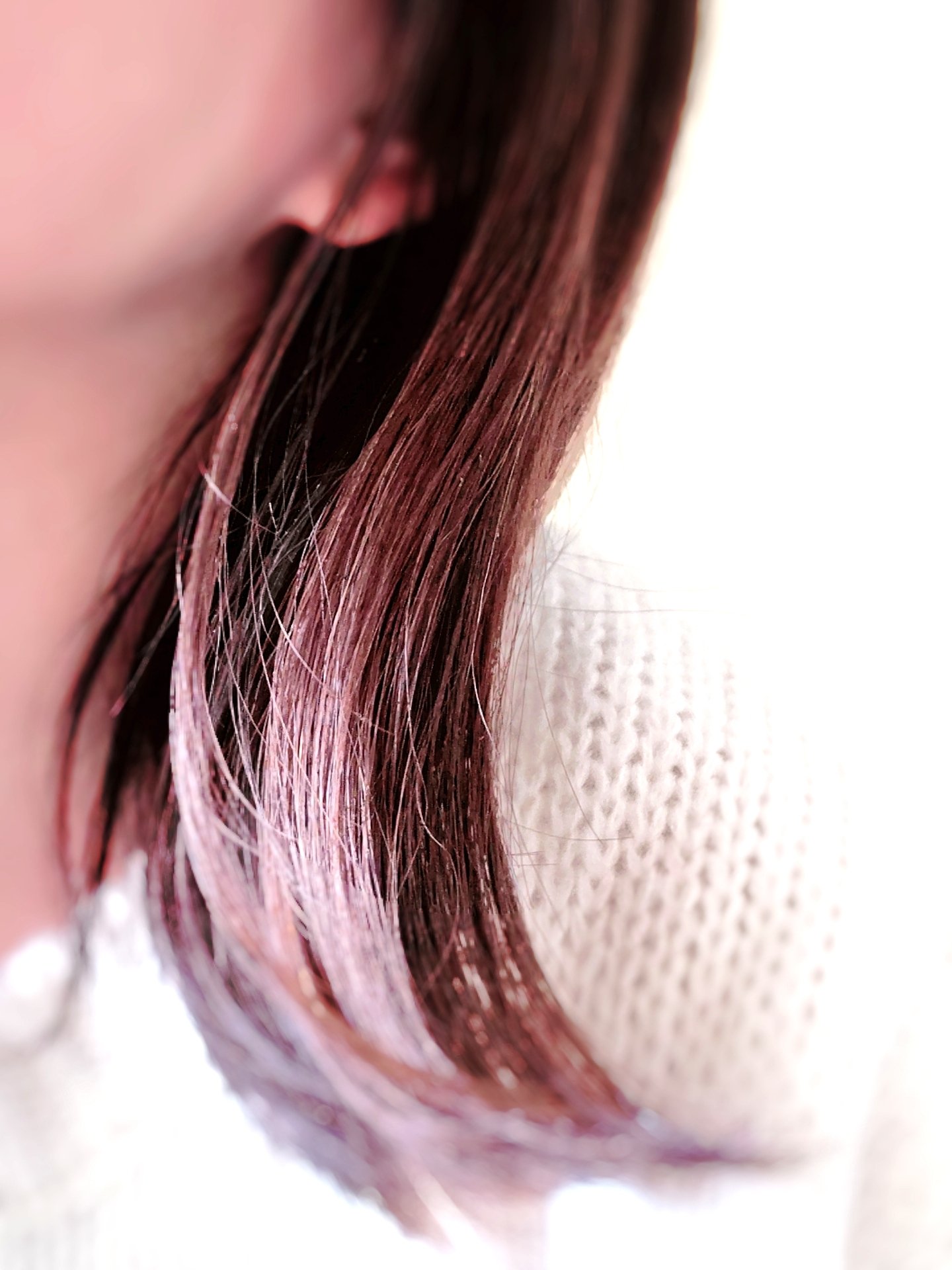 nae | フォロバ100