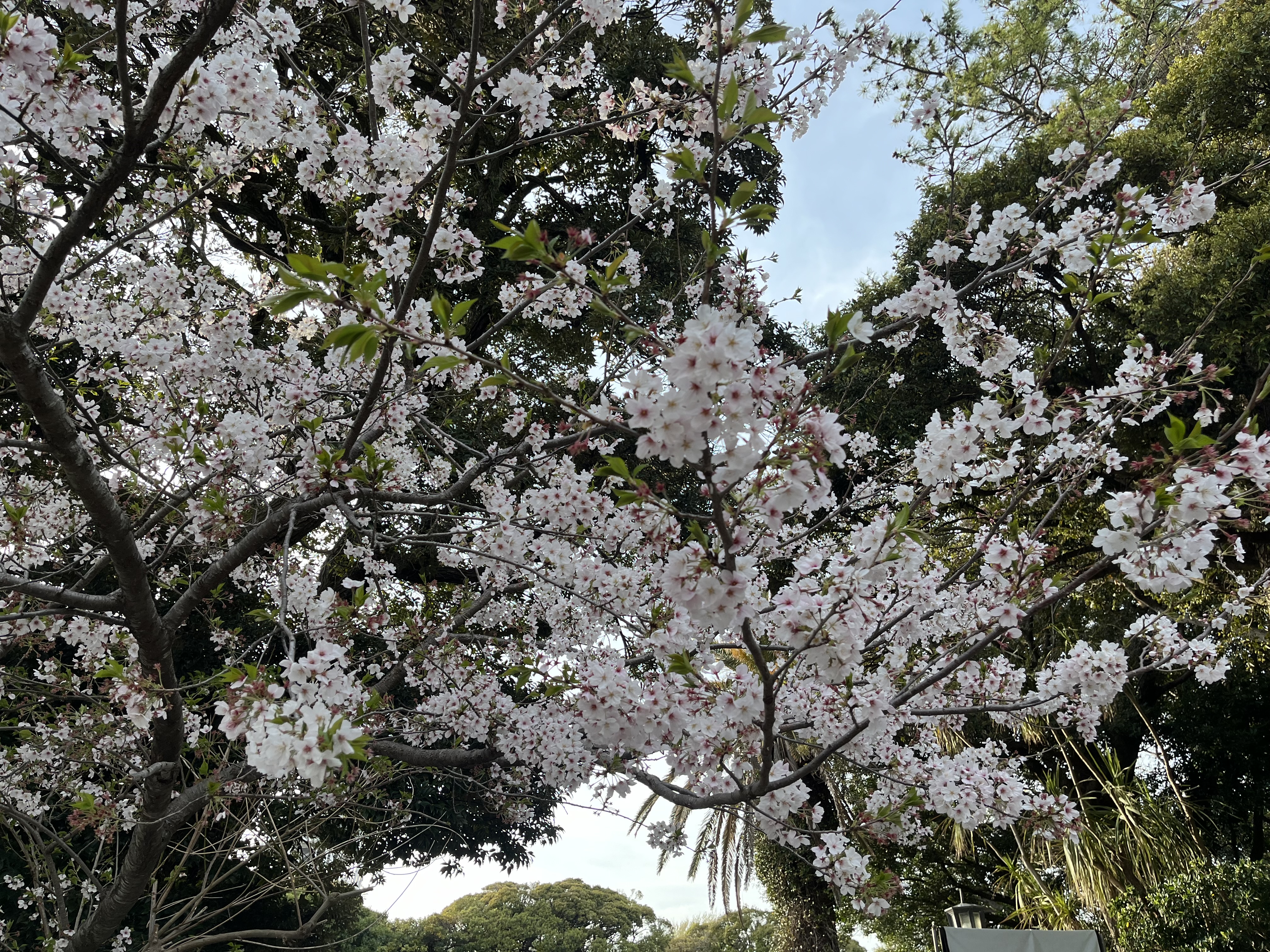 🎀モンエナ🎀