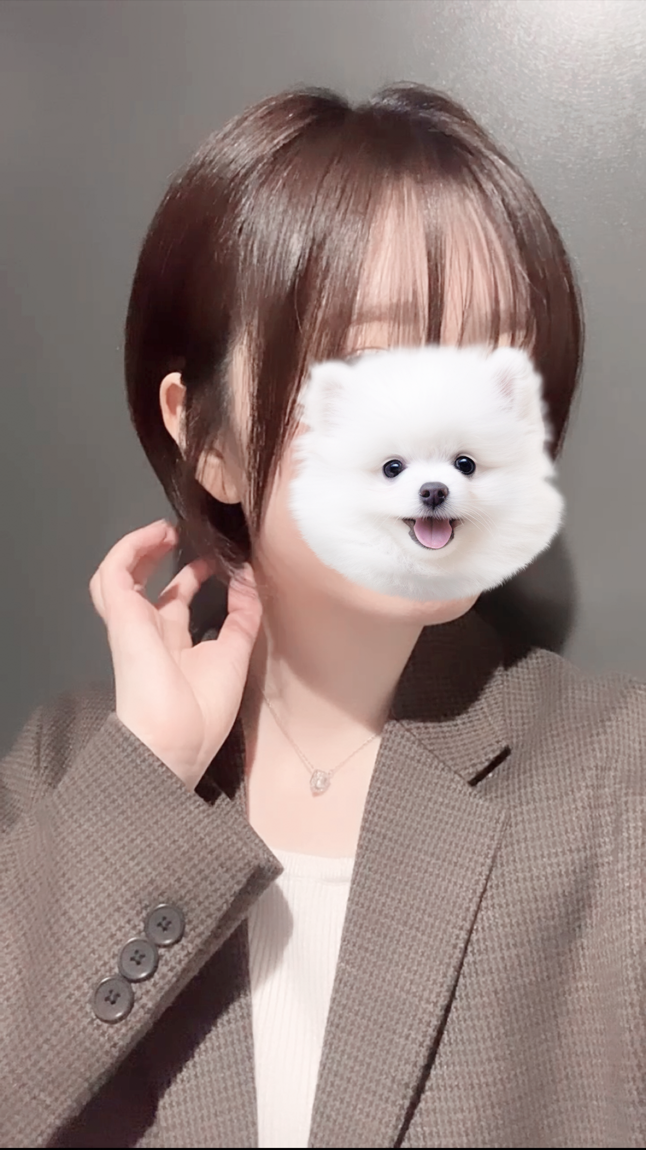 𝐌𝐚𝐢 ˚୨୧⋆. ⌇ フォロバ100 韓国コスメレビュー💫