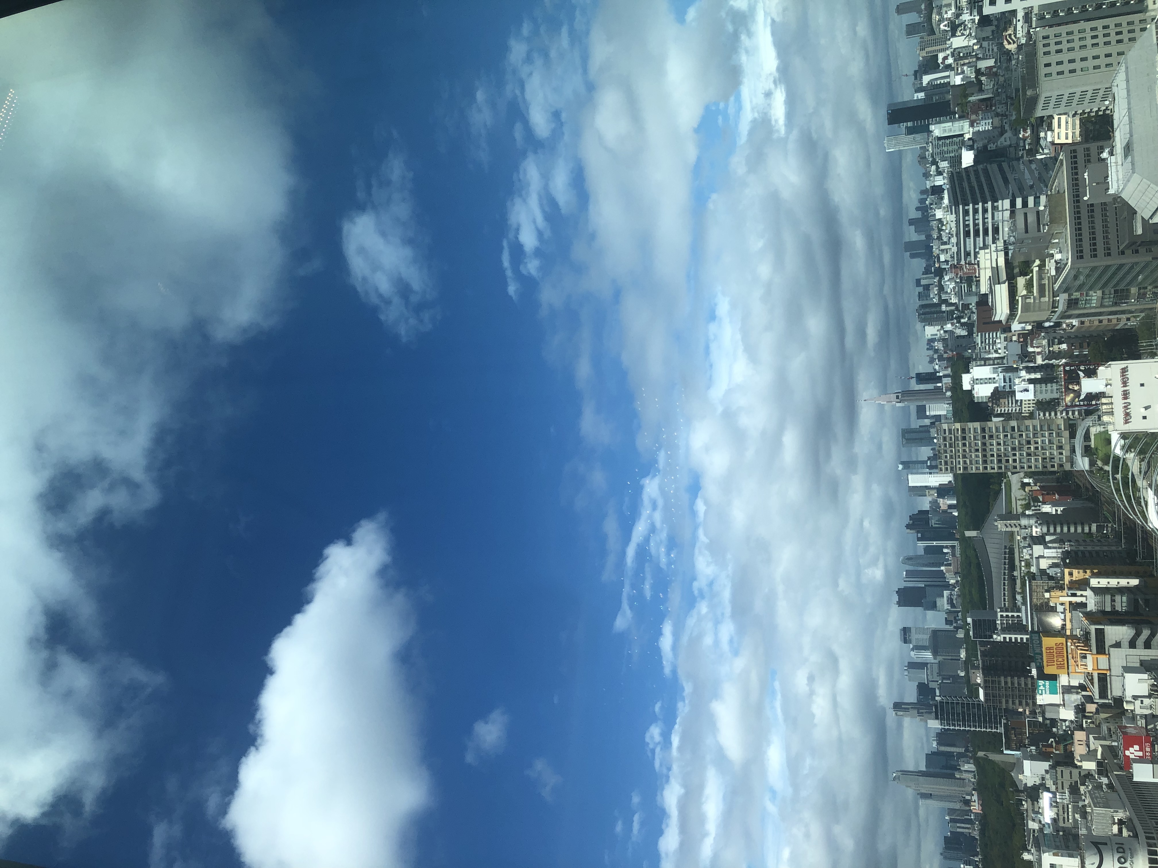 ちょこ_乾燥性敏感肌