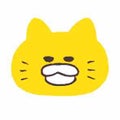 のらねこ