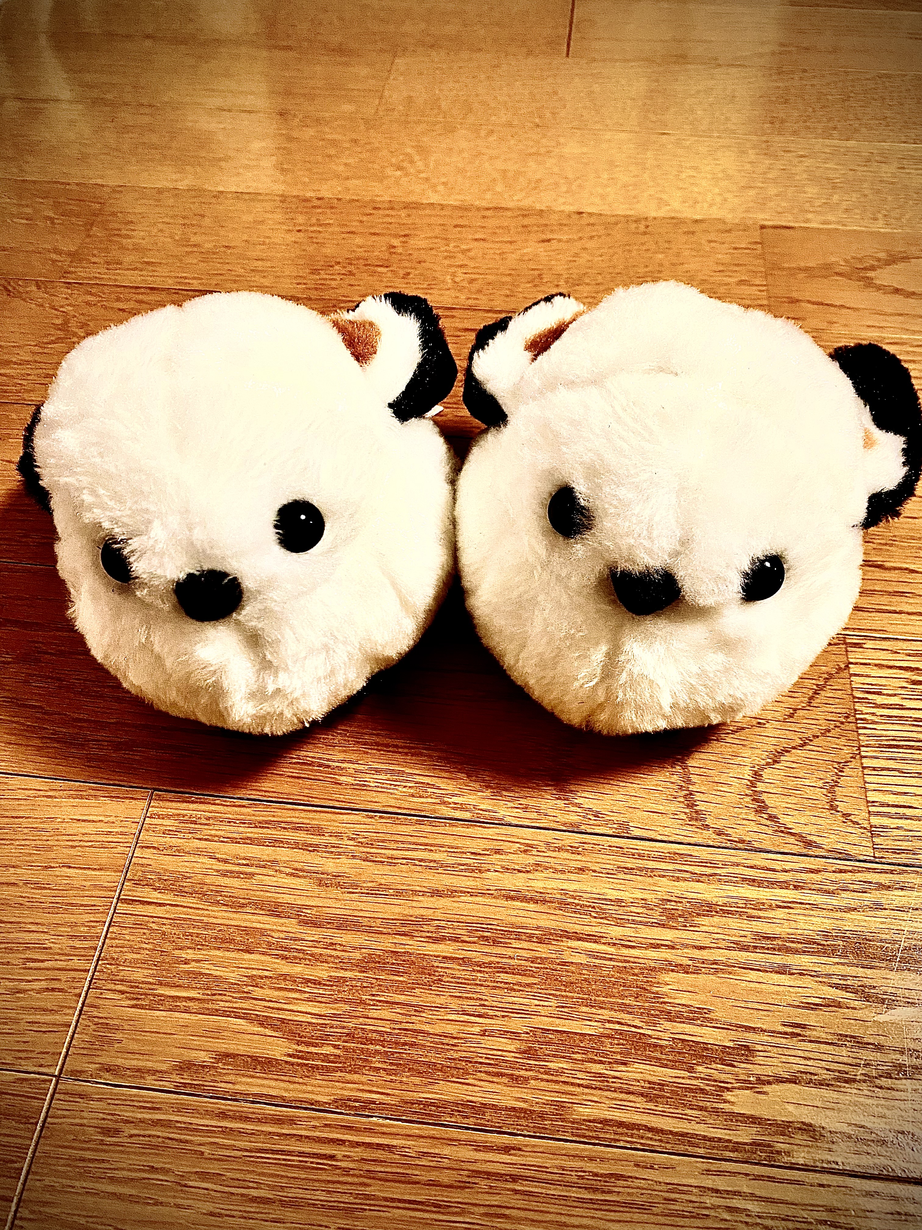 理系シマエナガ