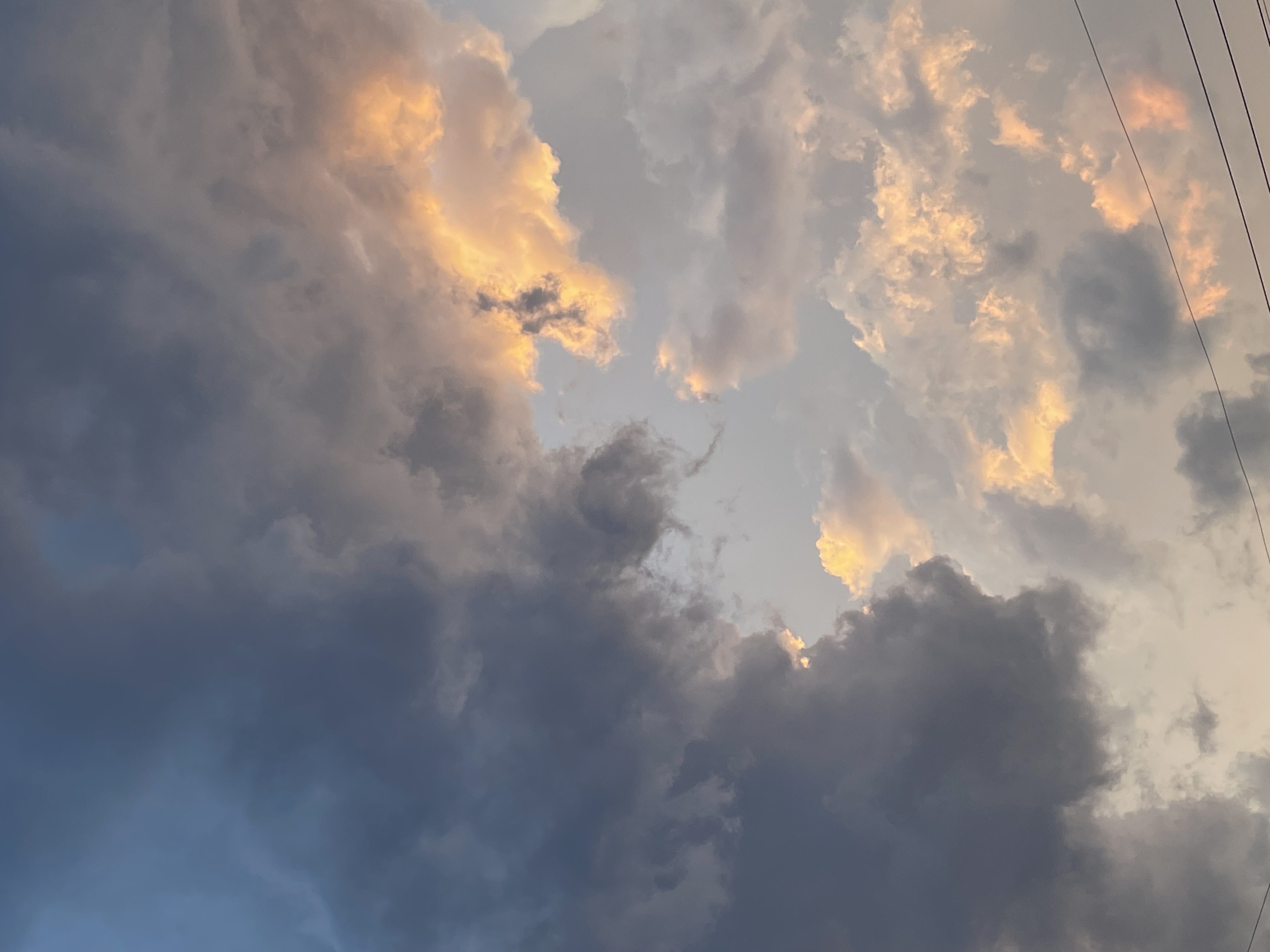 🦁れおこフォロバ100