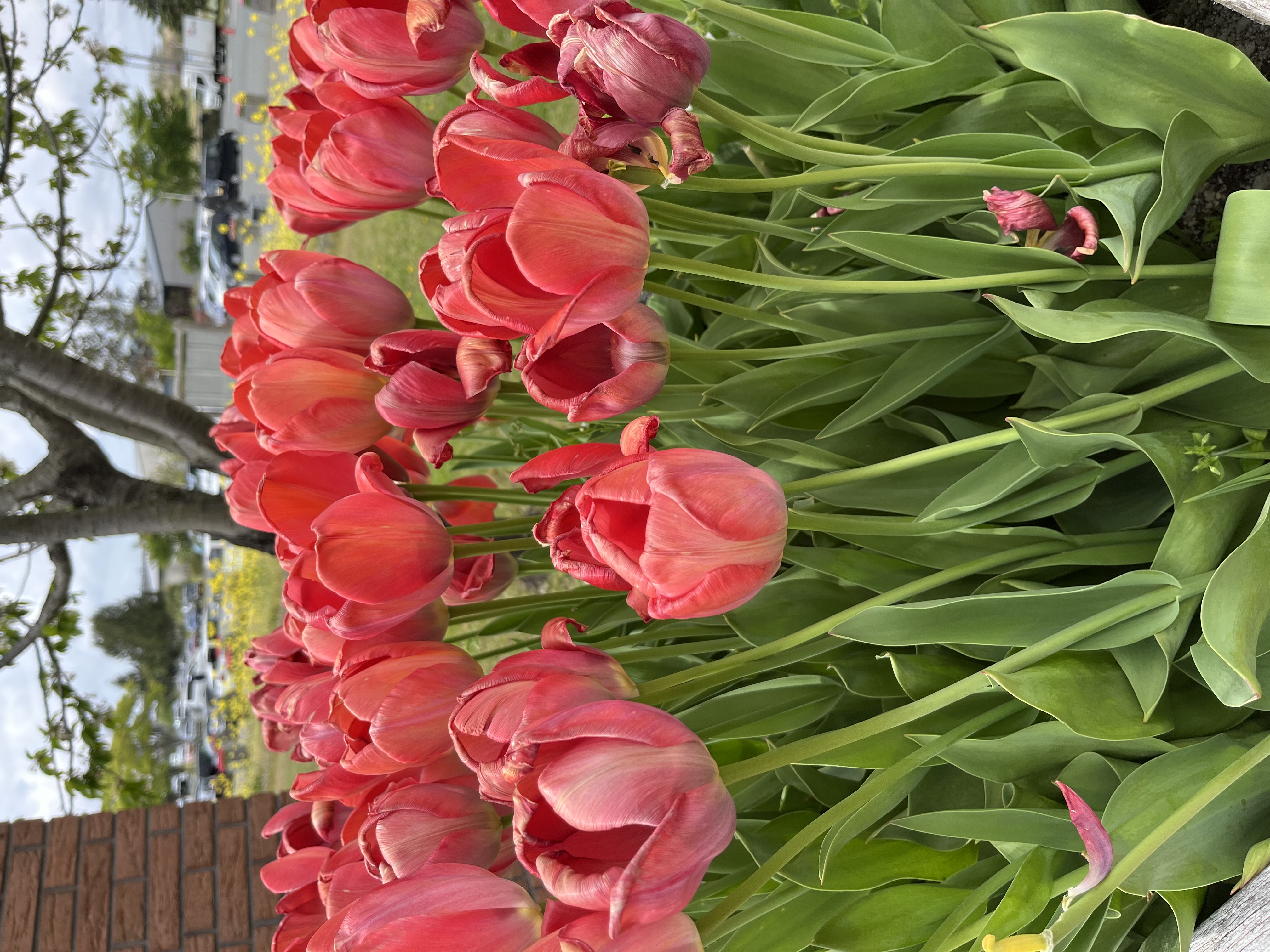 ななこ*.フォロバ