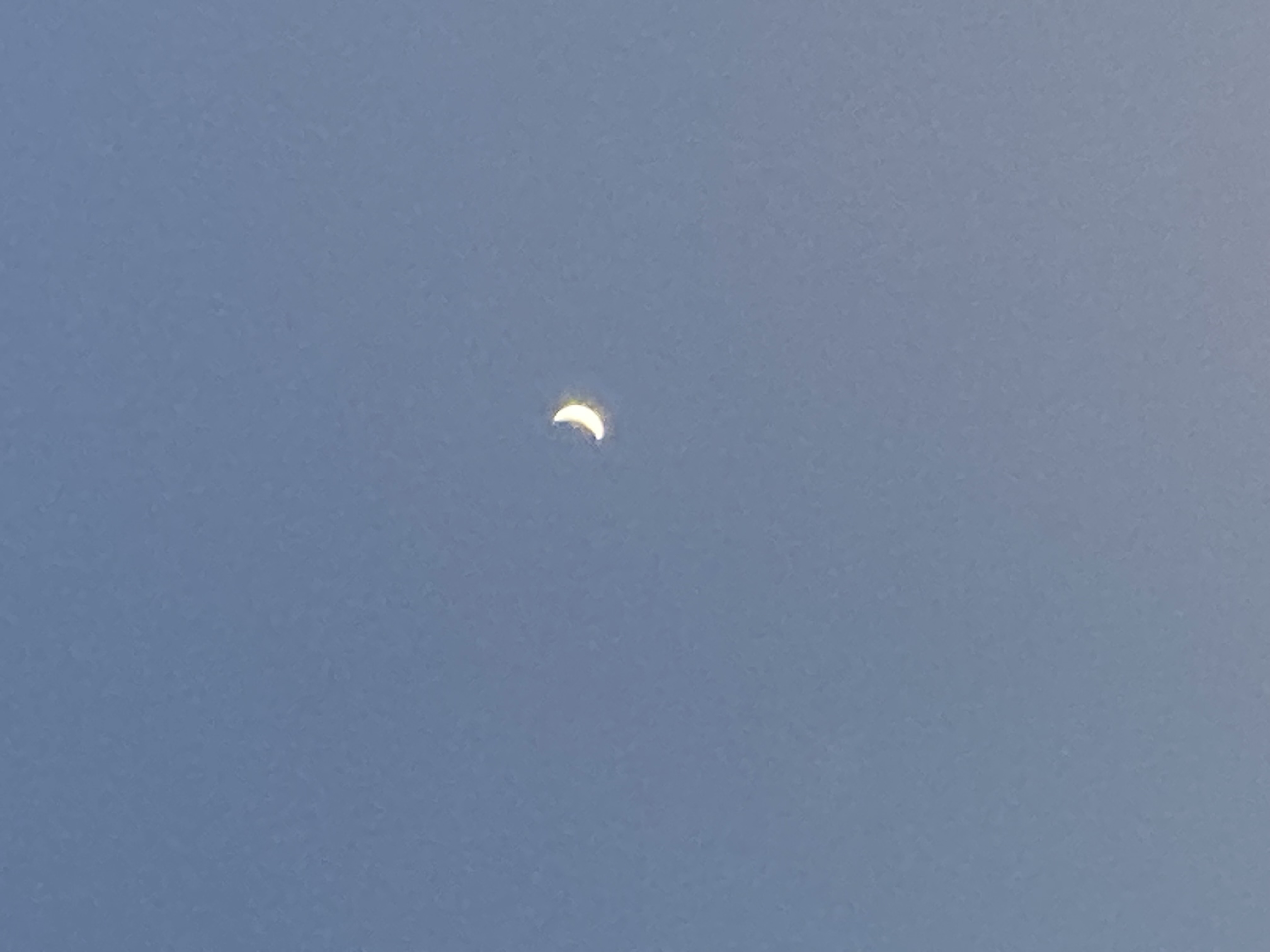 🧚‍♀️☁️🌿💡フォロバ100