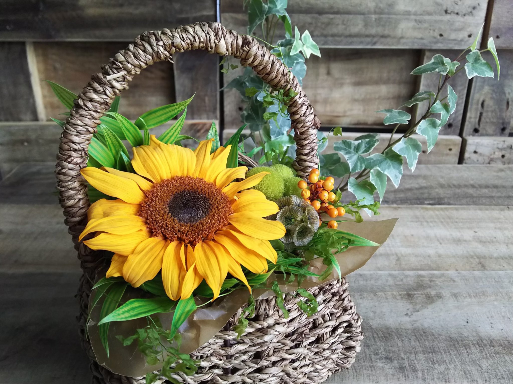 haruaya226🌻フォロバ100