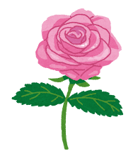 PLUM@投稿ある方フォロバします