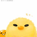 ひよこ🐥⸒⸒