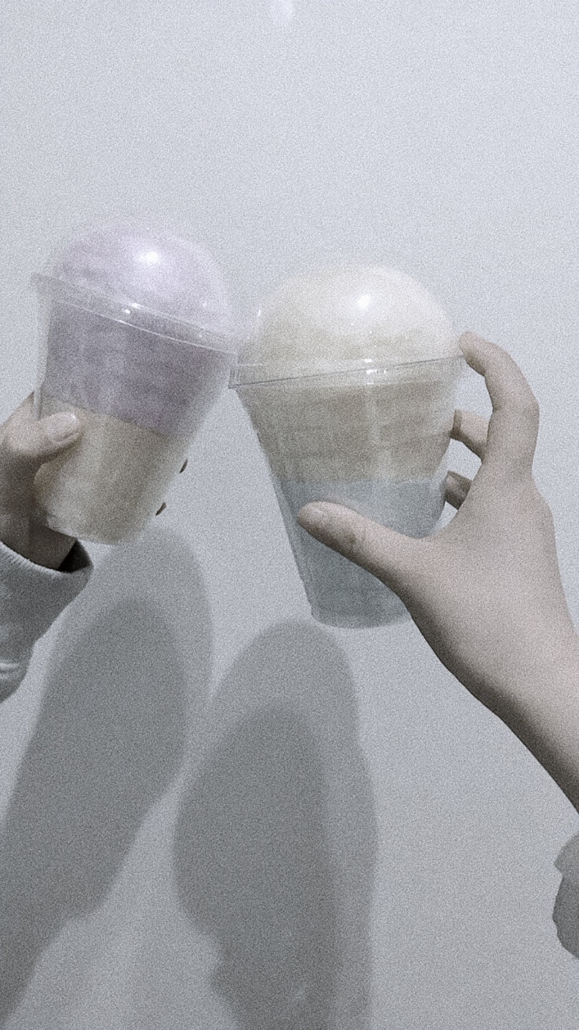 アフリカマイマイ