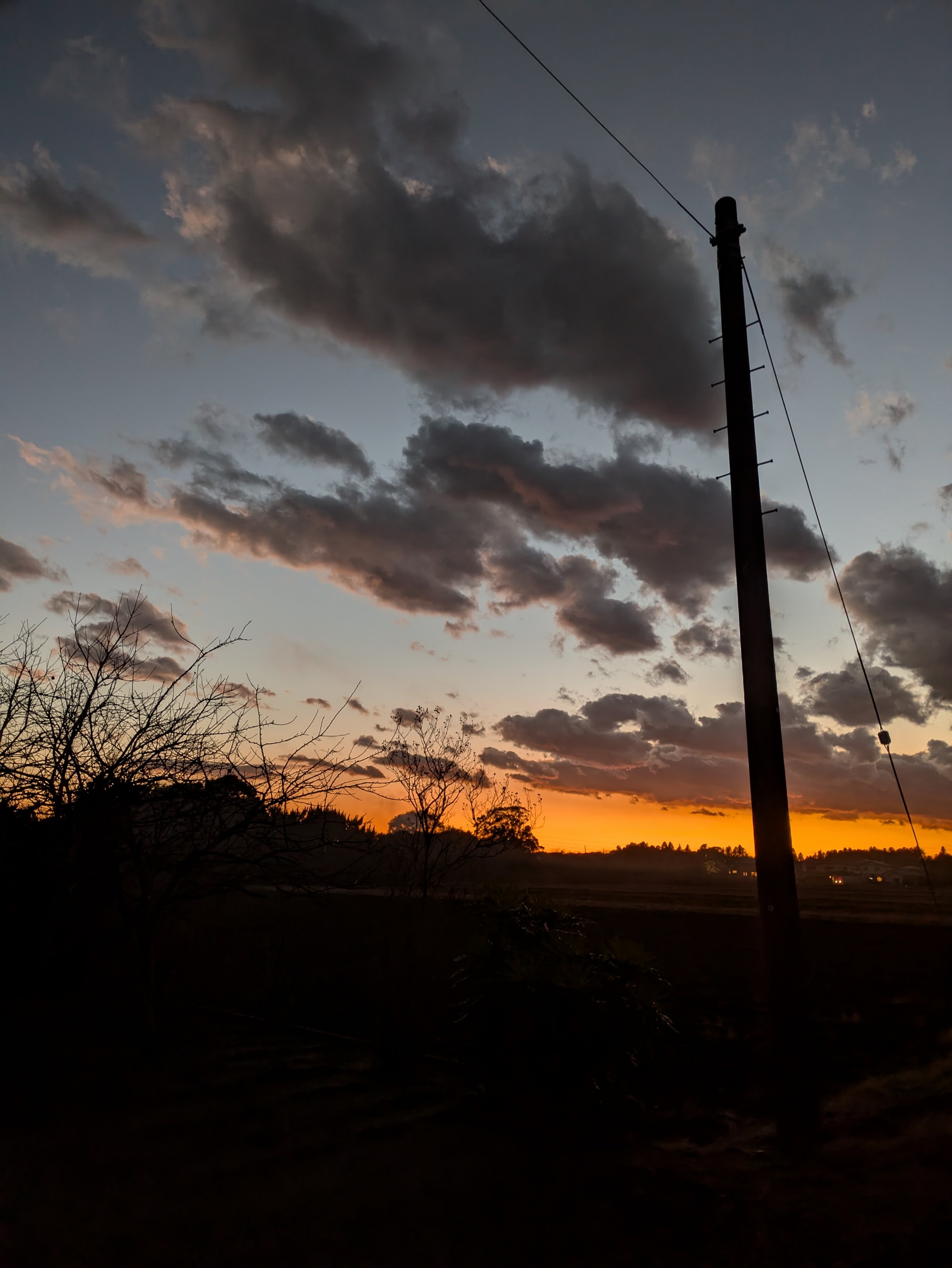 隠れ美容オタ2号