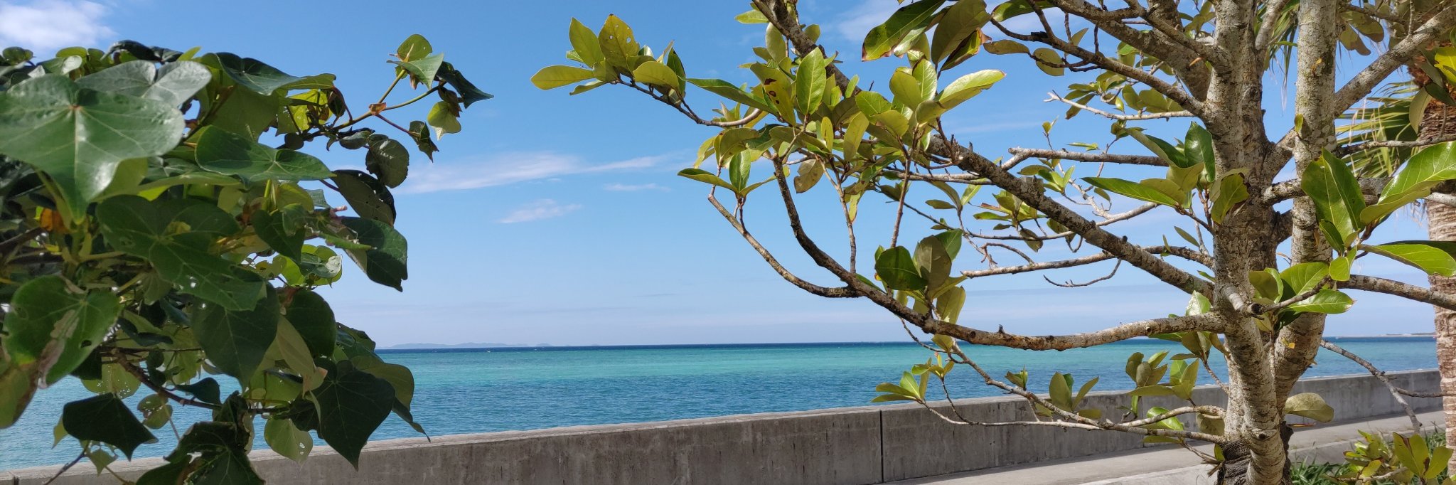 お疲れサマンサ